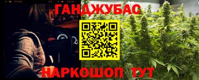 МДПВ Кингисепп