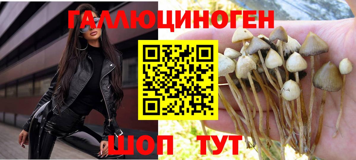 Псилоцибиновые грибы ЛСД  Псилоцибиновые грибы GOLDEN TEACHER  Южно-Сахалинск  Вход с VPN 